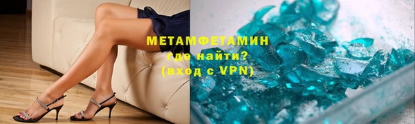 прущие грибы Бронницы