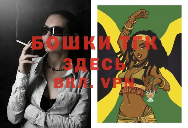 прущие грибы Бронницы