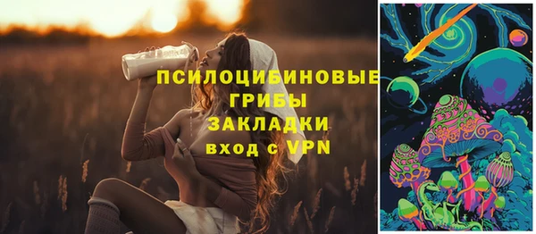 прущие грибы Бронницы