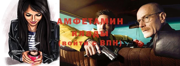 прущие грибы Бронницы