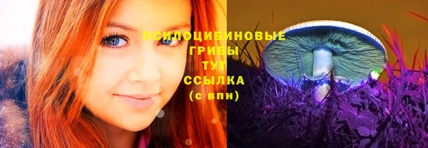 прущие грибы Бронницы